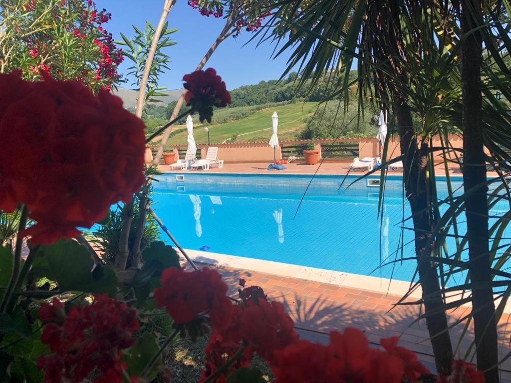 Rea Villa Coltodino Buitenkant foto